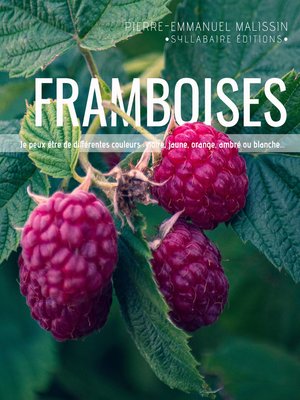 cover image of Framboises